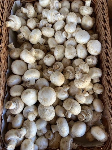 Button Mushrooms 250g Perryhill Orchards