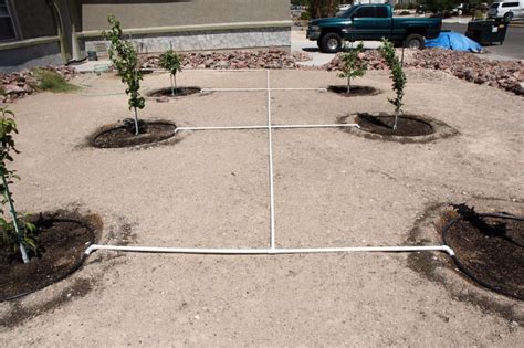 Filters screen particles out of the irrigation lines to maintain a clean water supply. Temporary Watering System in 2020 | Watering, Tree ...