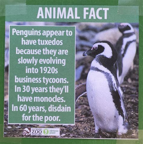 Guy Leaves Fake Animal Facts All Over Los Angeles Zoo | Bored Panda