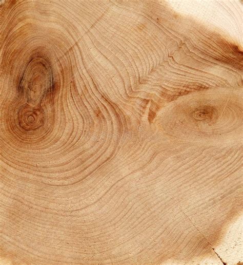 Wood Cut Texture Stock Image Image Of Furniture Abstract 12626991