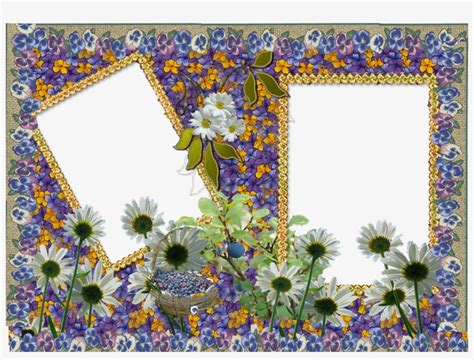 Photo Frame Background Hd Images Download - Guitar Rabuho