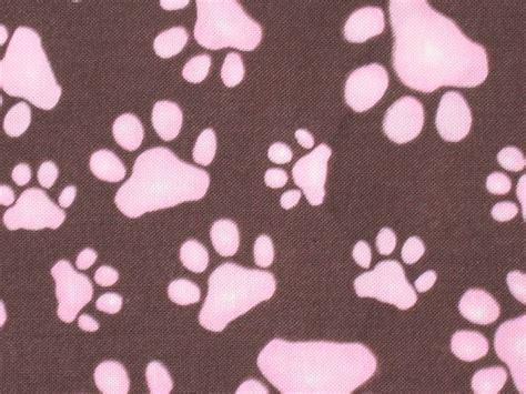 Free Download Paw Prints Background Stock Photo Public Domain Pictures