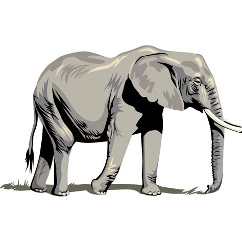 Elephant Side 2 Png Svg Clip Art For Web Download Clip Art Png Icon