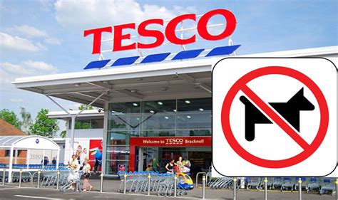 We did not find results for: Tesco Besarkan Papan Tanda Larangan Bawa Haiwan - Semasa ...