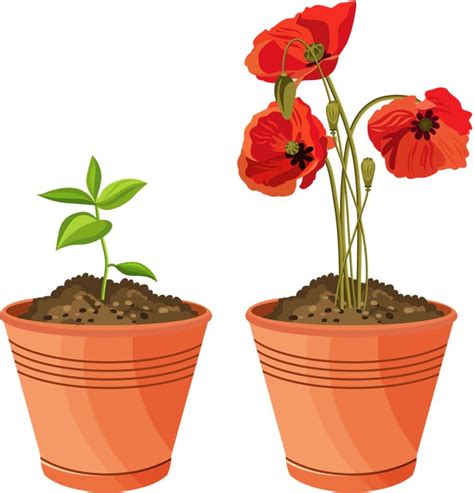 Flower pot with soil clipart. 83 best Garden สวน images on Pinterest | Clip art ...