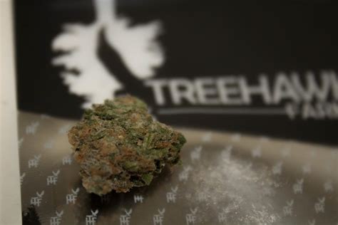 Testing The Black Afghan Strain From Treehawk Farms Weed Review