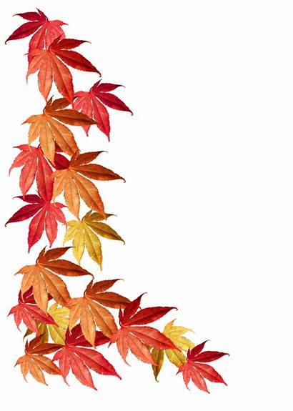 Border Leaves Fall Clipart Autumn Clip Transparent