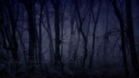 Free Download Scary Cartoon Forest Background Creepy Forest Wallpaper