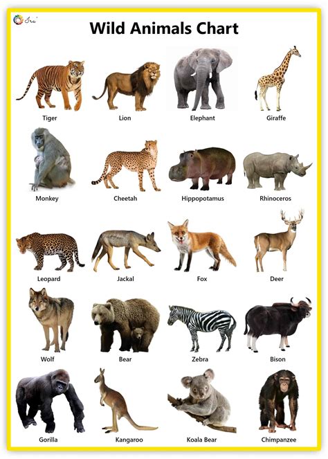 Animal names vocabulary with pictures learning animals names list. Wild Animals: Facts | Pictures | Videos | Chart - Ira ...