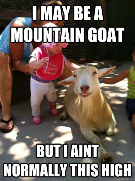 49 Very Funniest Goat Meme Images S Graphics And Photos Picsmine