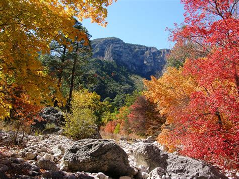 Fall Colors Report Guadalupe Mountains National Park U