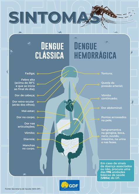 Dengue Clássica Ou Hemorrágica Entenda A Diferença E Os Sinais De