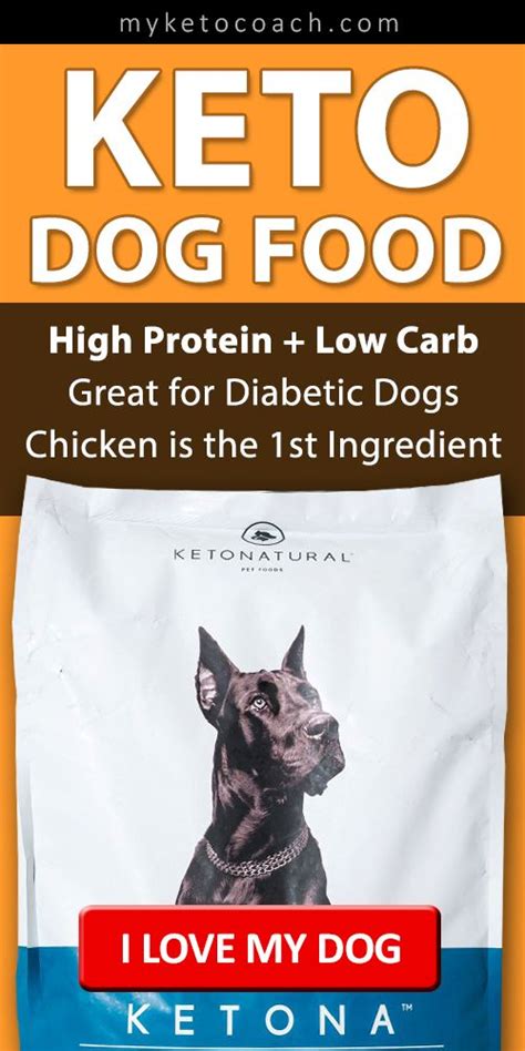Unmanaged diabetes can give your dog the following symptoms The Best Keto Dog Food that is Affordable, Natural & Low ...