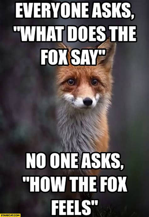 Everyone Asks What Does The Fox Say No One Asks How The Fox Feels