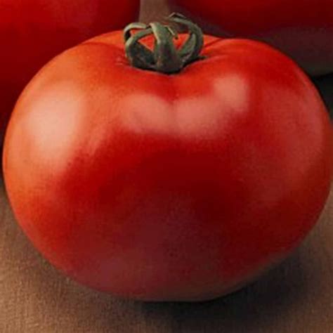 Tomato Garden Seeds Goliath Hybrid 100 Seeds Non Gmo Vegetable