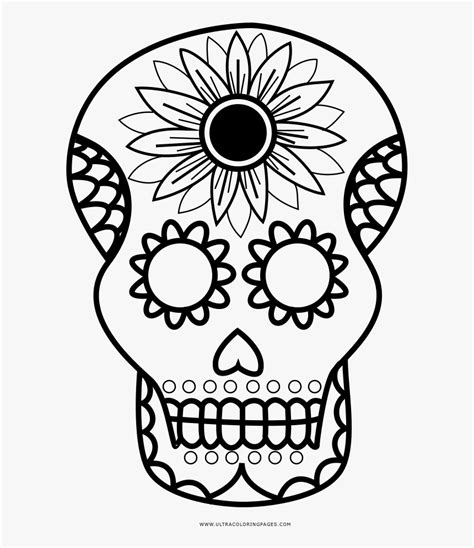 Sugar Skull Coco Coloring Pages Hd Png Download Transparent Png