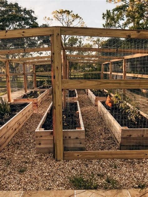 Diy Raised And Enclosed Garden Bed In 2020 Indoor Garden Backyard
