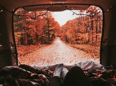 Autumn Aesthetic | Autumn aesthetic, Fall vibes, Fall wallpaper