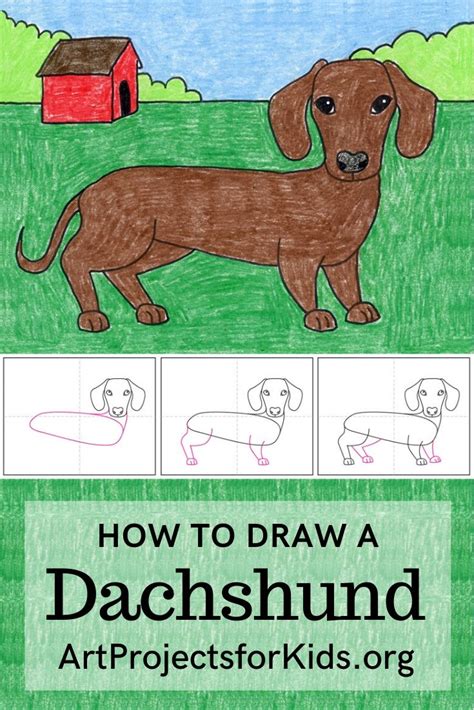 How To Draw A Dachshund Step By Step At Drawing Tutorials