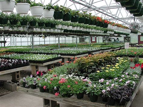 Lisateavet flowers by shirley kohta leiate veebisaidilt www.flowersbyshirley.org. UMass Supports Regional Greenhouse Gathering | UMass ...