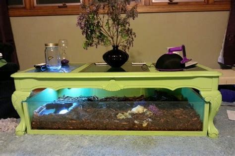 Build a table for your tortoise habitat! DIY Under-Table Habitat - PetDIYs.com | Tortoise table ...