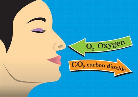 Breathing Carbon Dioxide Royalty Free Images Stock Photos