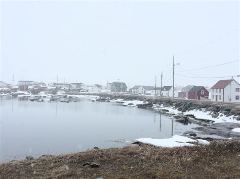Fogo island is a town located on fogo island, the largest of the offshore islands in the province of newfoundland and labrador, canada. EPI - MAEP | April 2017 Researchers Visit Fogo Island
