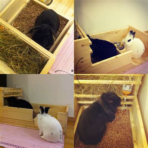 Keeping your rabbit's messes off the floor can be a pain. diy rabbit litter box that holds hay...o ya | Rabbit ...