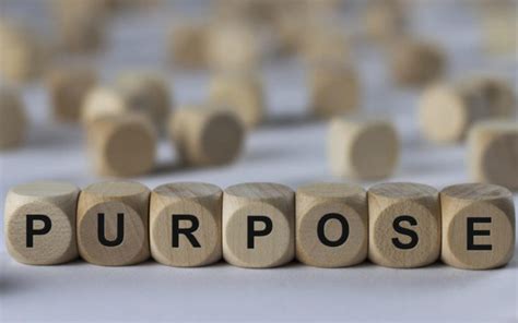 Blog - Lets Find A Purpose