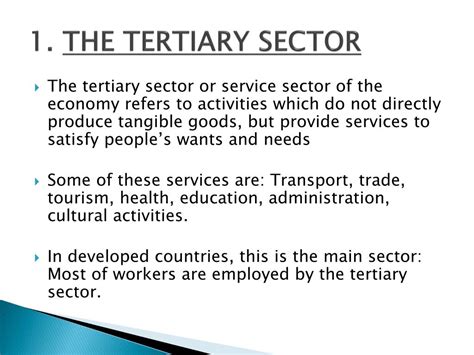 Ppt Unit 8 The Tertiary Sector Powerpoint Presentation Free Download