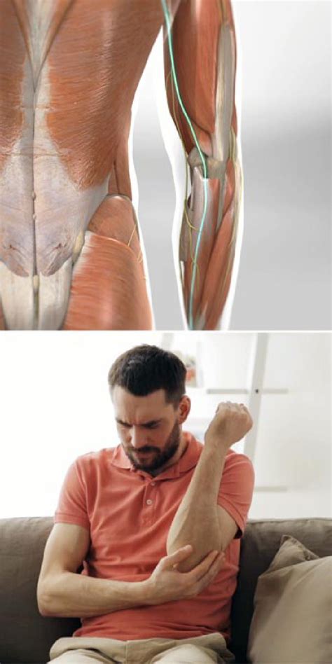 Ulnar Nerve Transposition At The Elbow Orthopaedic Associates Of