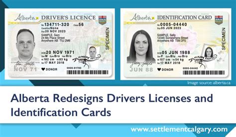 Alberta Redesigns Drivers Licences And Identification Cards