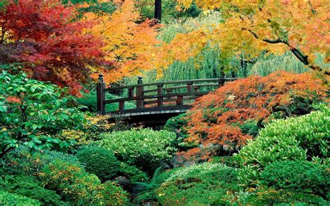 Japan wallpapers, backgrounds, images— best japan desktop wallpaper sort wallpapers by: 73+ Japanese Garden Desktop Wallpaper on WallpaperSafari