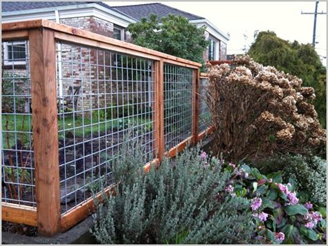 Building a fence is also what a dog owner should do. Backyard fence ideas for dogs | Outdoor furniture Design ...