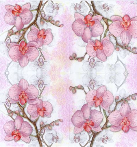 Elevate every moment with a touch of elegance from vanity fair® paper napkins. Decorative Paper napkins of Pink Orchid | luncheon napkins for decoupage | Tropical flower paper ...
