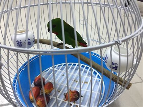 Video resep membuat tahu fantasi bahan utamanya tahu. 5 PUNCA BADAN LESU DAN LETIH - INILAH REALITI BUKAN FANTASI