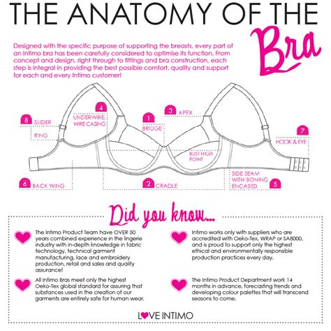 Anatomy Of A Bra Anatomical Charts Posters