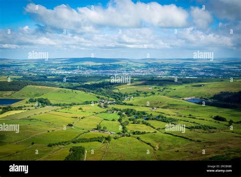 Timeless arboretums hi-res stock photography and images - Alamy