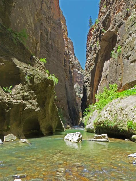 Welcome to the official facebook there are animals all over zion national park that help with pollinating our plants and flowers, but you might not always see them at work… The Narrows at Zion National Park - Humble Pursuits