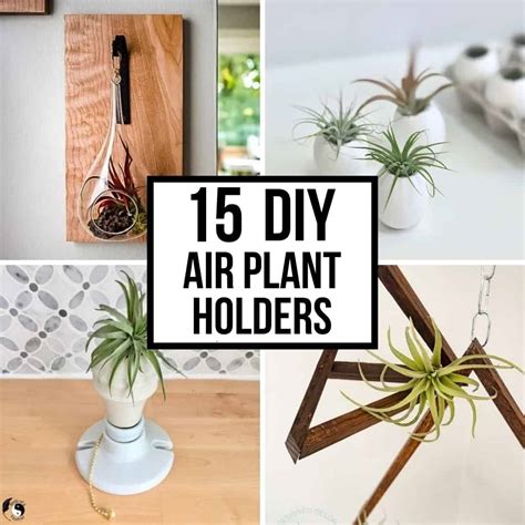 15 Creative Diy Air Plant Holder Ideas The Handymans Daughter