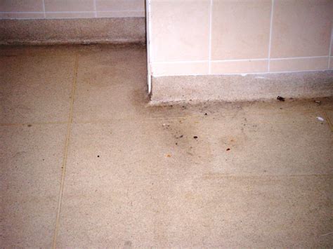 We did not find results for: Deep Cleaning and Old Terrazzo Kitchen Floor - Stone ...