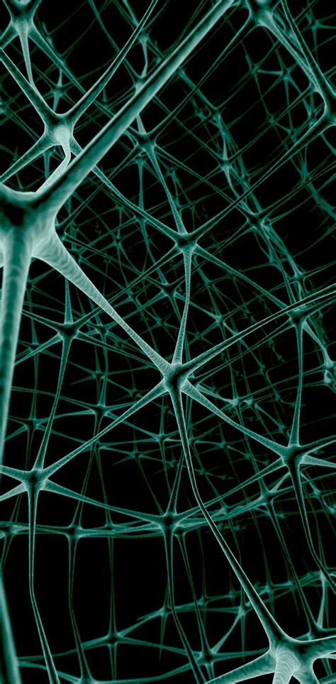 Neurons Wallpaper By Dljunkie Download On Zedge 5d3b