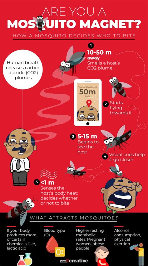 August 2019 Best Infographics Of The Month