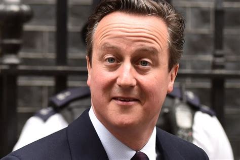 David cameron was the leader of the conservative party. What's it like to date David Cameron? 7 things we learned ...