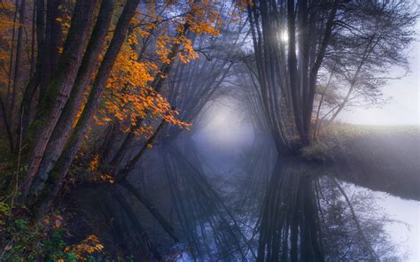 Nature Landscape Reflection Mist Fall Forest River