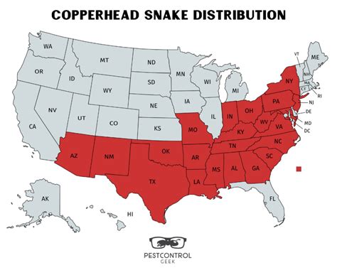 How To Get Rid Of Copperhead Snakes Pest Control Gurus
