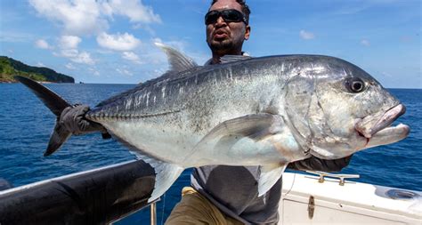 Andaman Fishing Tour Andaman Islands Angling Fishing