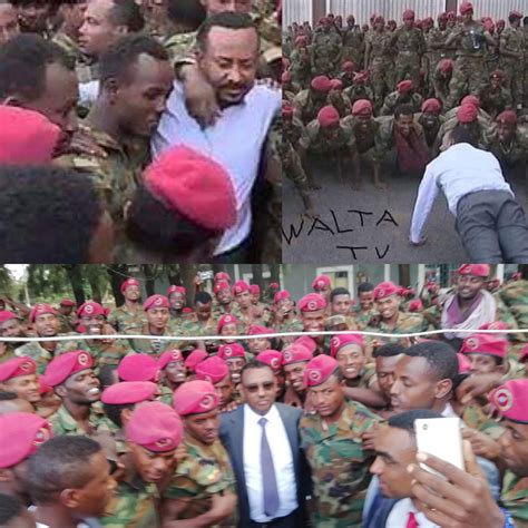 Ethiopia · ethiopian parents appeal for help to evacuate students stranded by tigray war · fighting in ethiopia's afar forces 54,000 people to flee, official says. Protesting Ethiopian soldiers given jail terms /Ethiopian ...