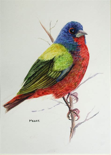 Art works by Margaret Meade in watercolor color pencil and ...