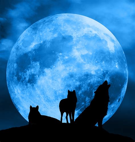 Blasphemous Blue Moon Warning Paranormal Activity Forecast
